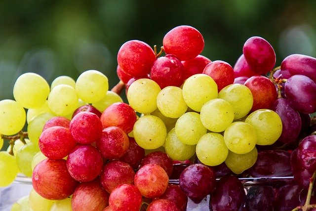 Legjobb szőlőfajták
