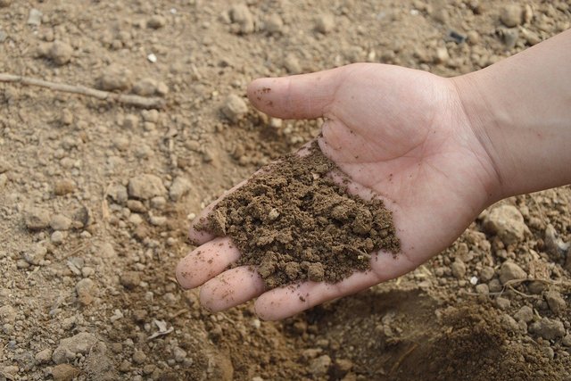 talaj vizsgálata egyszerűen